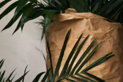 gallery-2-5