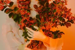 gallery-2-6